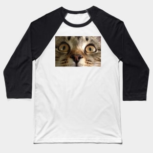 Tabby Kitten Eyes Baseball T-Shirt